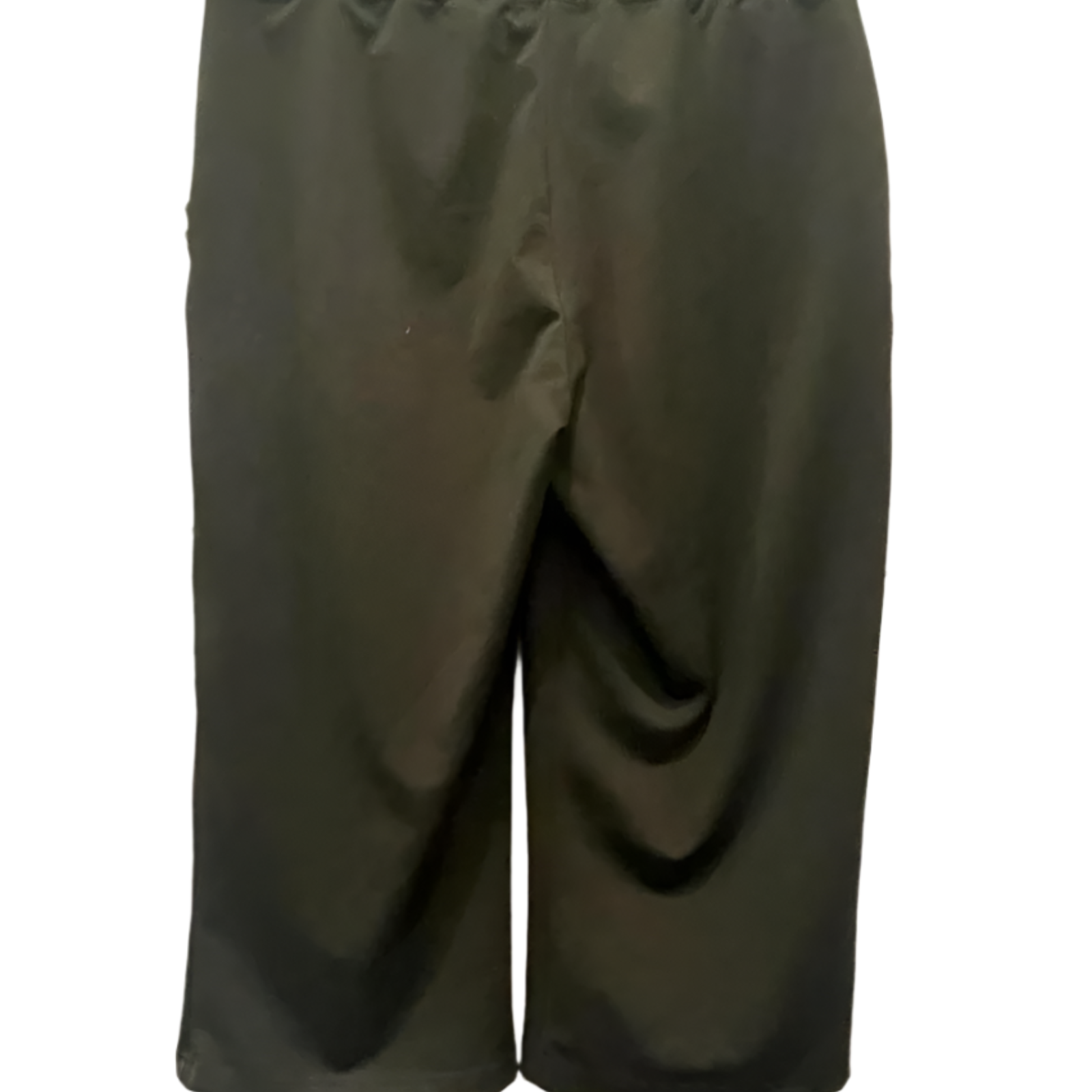Used I.C. Fashions Womens Capri Pants | Green | Large